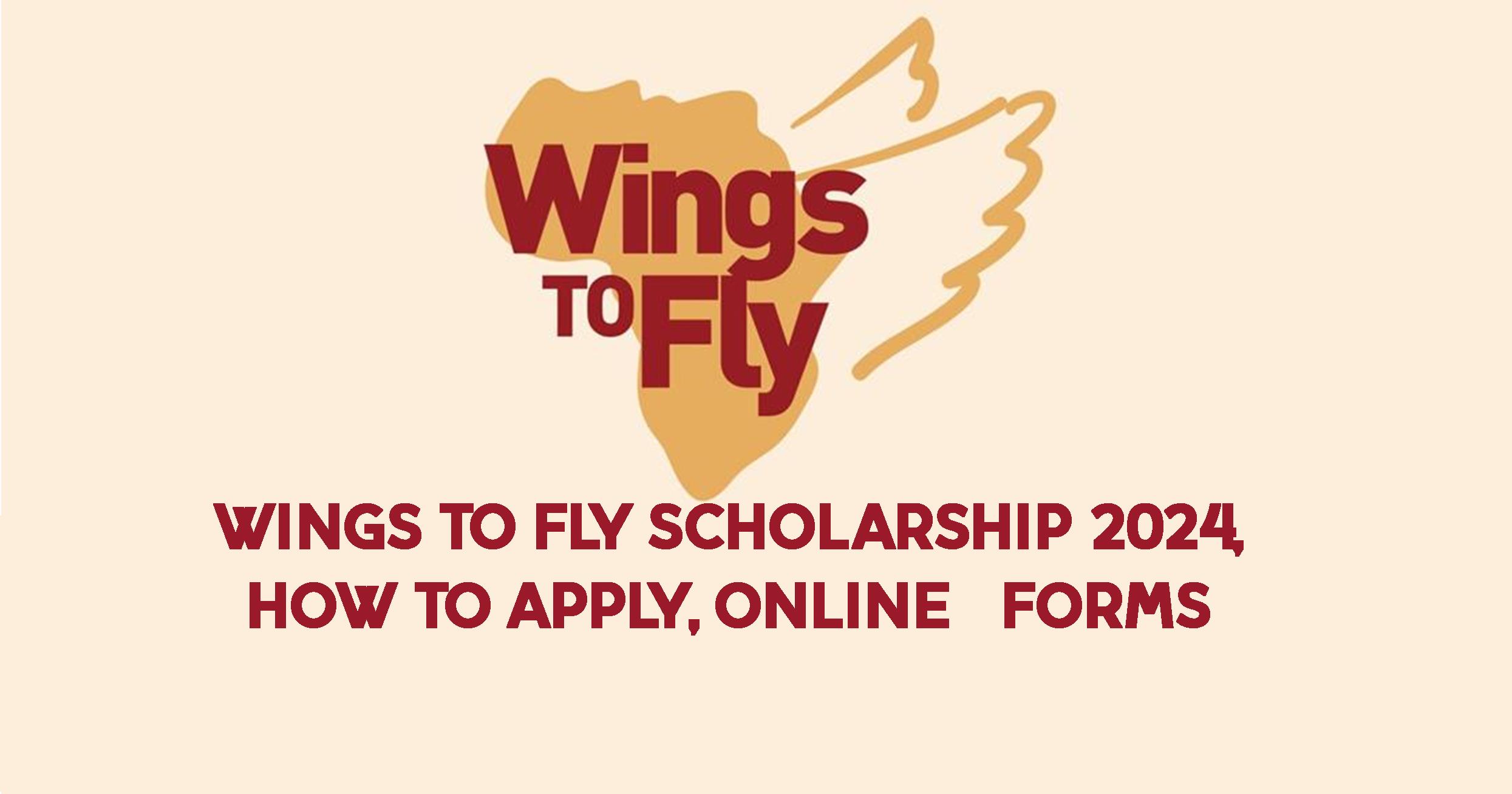 Wings to Fly Scholarship 2024 Application Forms Nangmak Media